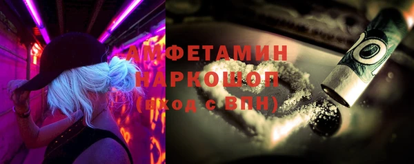 прущие грибы Балахна