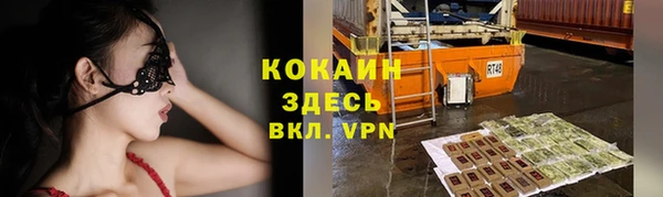 прущие грибы Балахна
