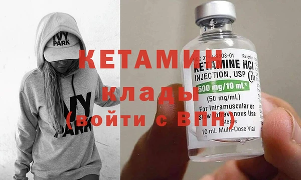 шишки Белокуриха