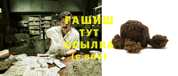 прущие грибы Балахна